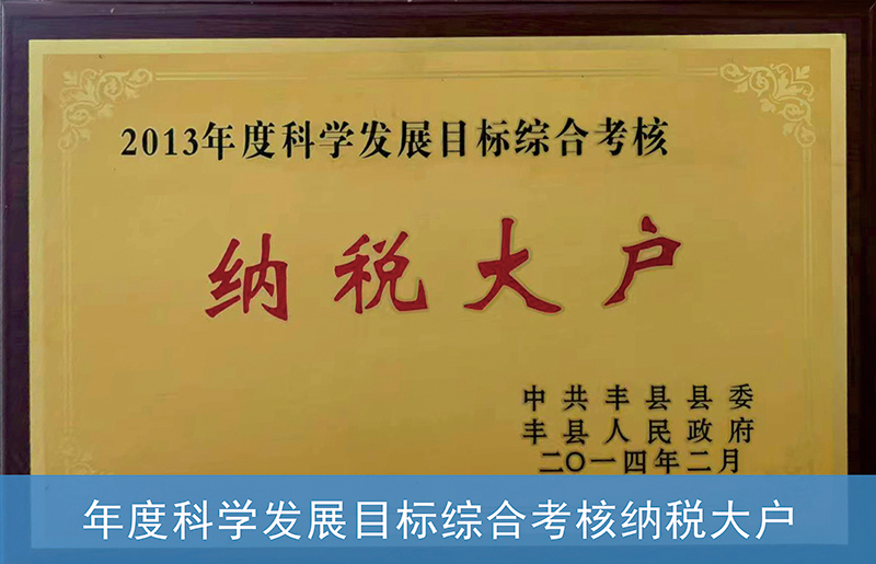 2014年度科学发展目标综合考核纳税大户.JPG